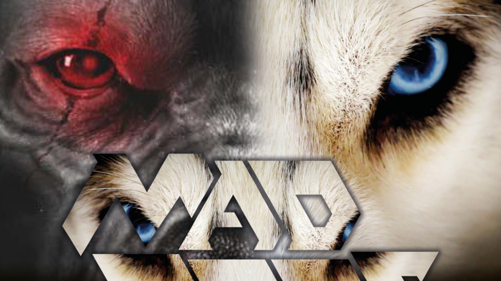 Mad Dogs