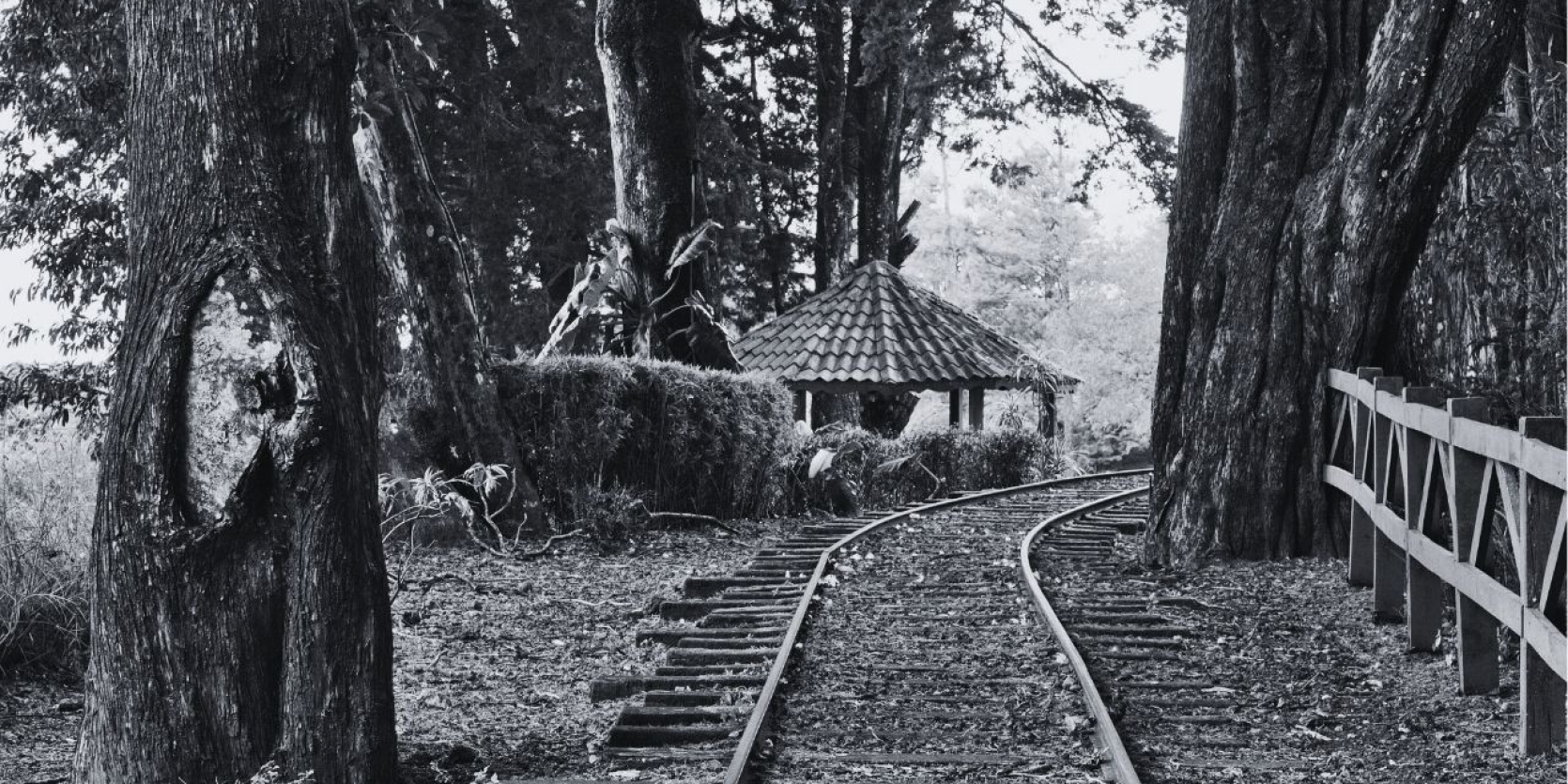Dos rayitas - Su nombre - El tren de la vida