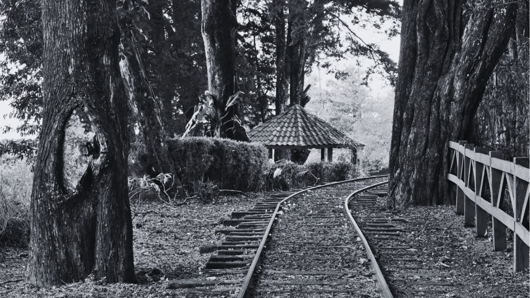 Dos rayitas - Su nombre - El tren de la vida