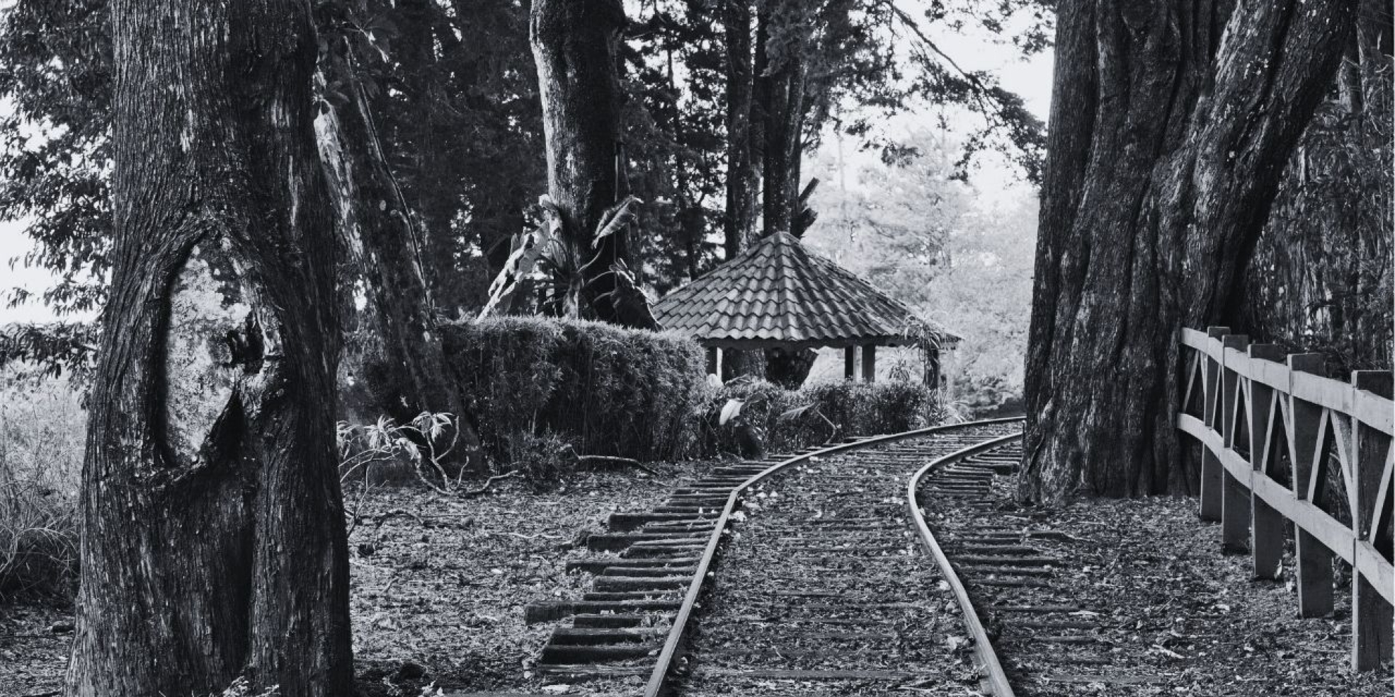 Dos rayitas - Su nombre - El tren de la vida