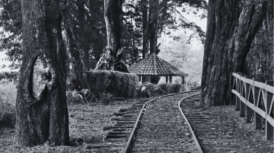 Dos rayitas - Su nombre - El tren de la vida