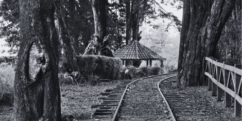 Dos rayitas - Su nombre - El tren de la vida