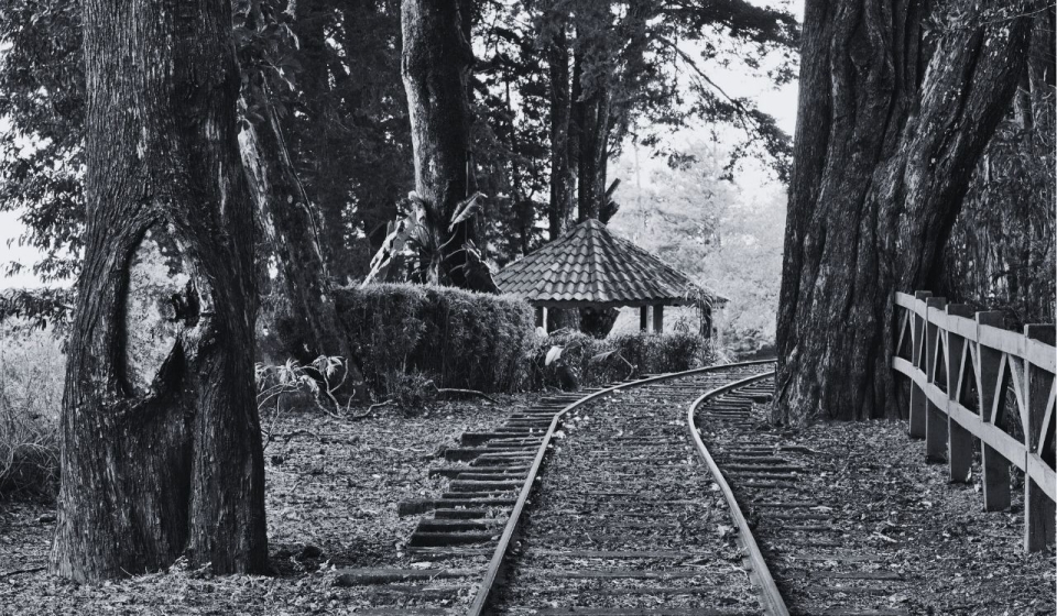 Dos rayitas - Su nombre - El tren de la vida