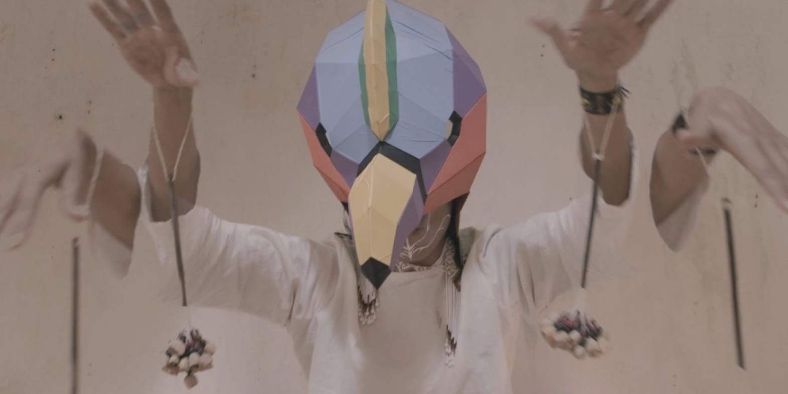 condor-multicolor-solsticio