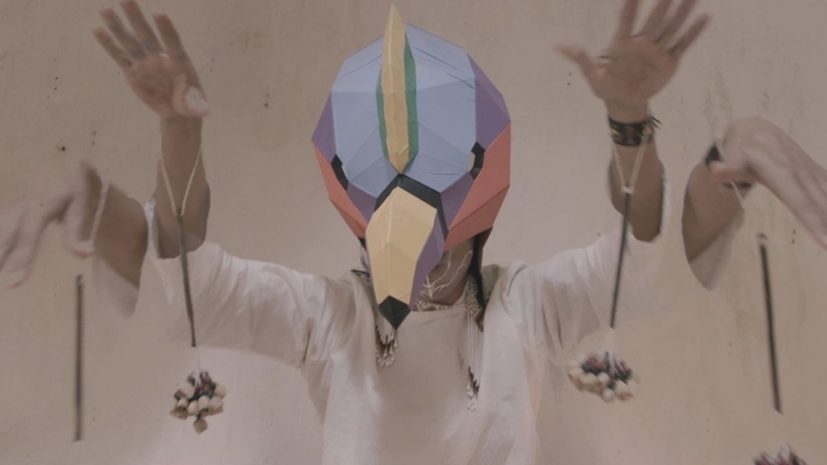 condor-multicolor-solsticio