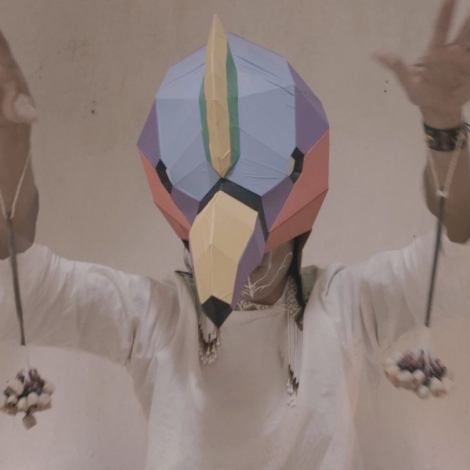 condor-multicolor-solsticio