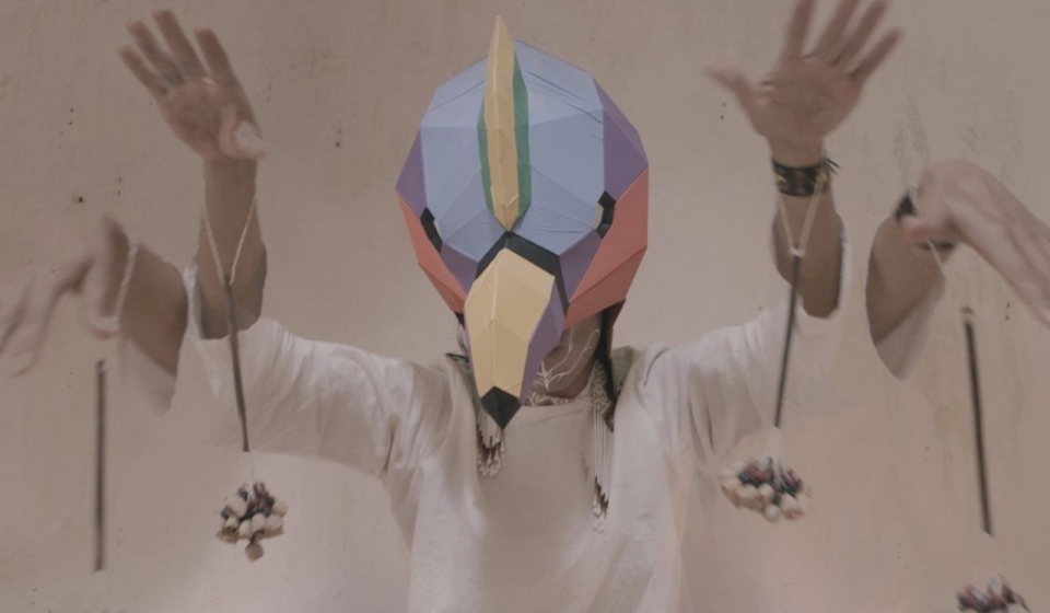condor-multicolor-solsticio