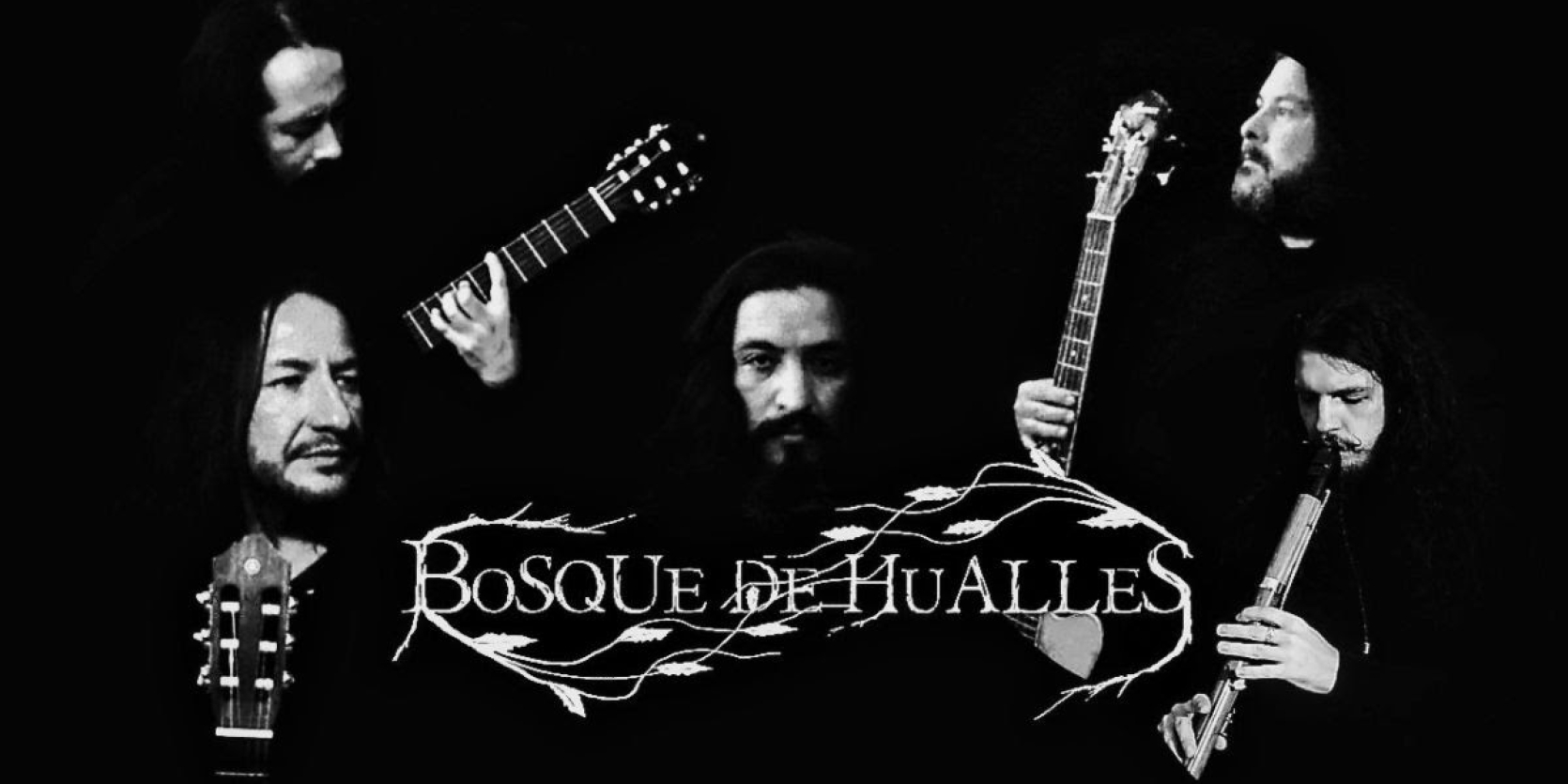 Bosque de Hualles