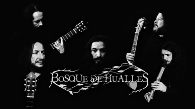 Bosque de Hualles
