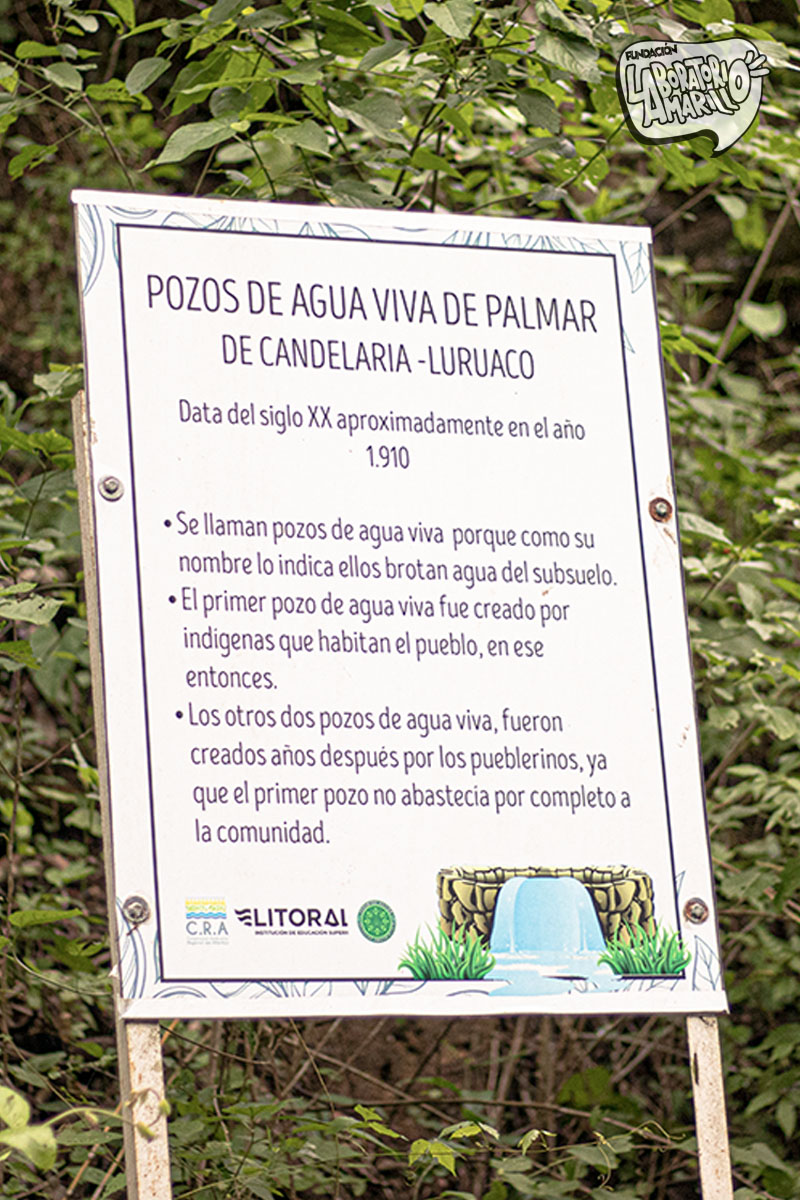 Palmar de Candelaria (Luruaco)-5 (4)