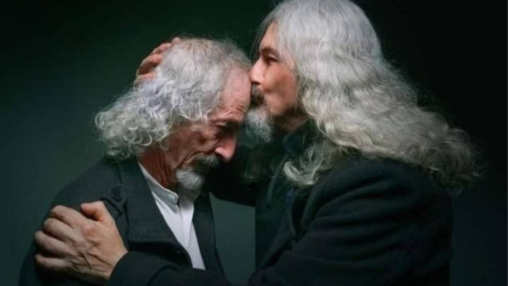 la-libelula-dorada (8)