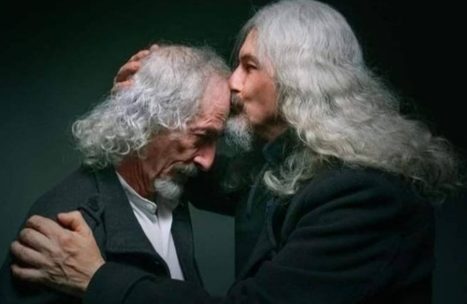 la-libelula-dorada (8)