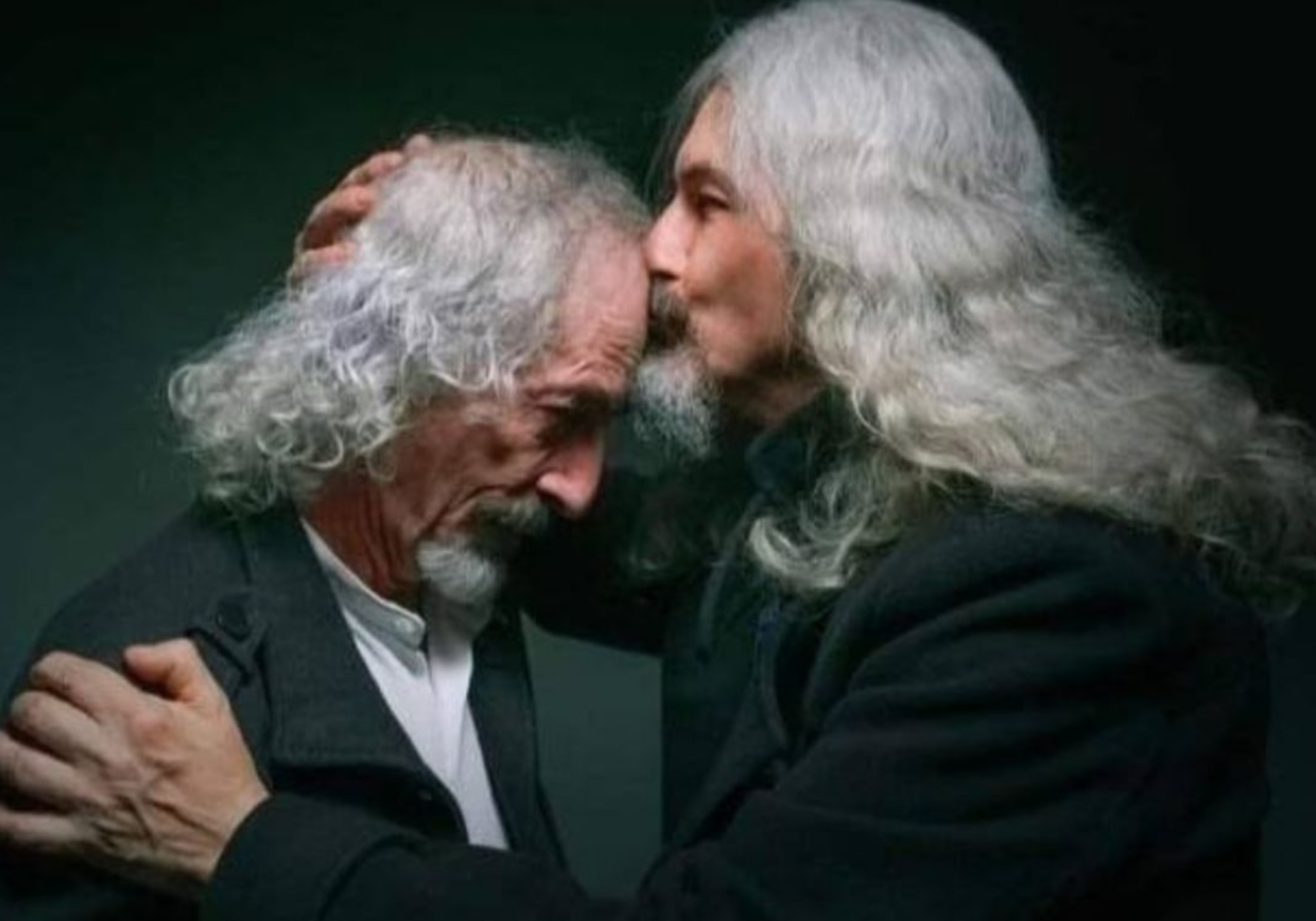 la-libelula-dorada (8)