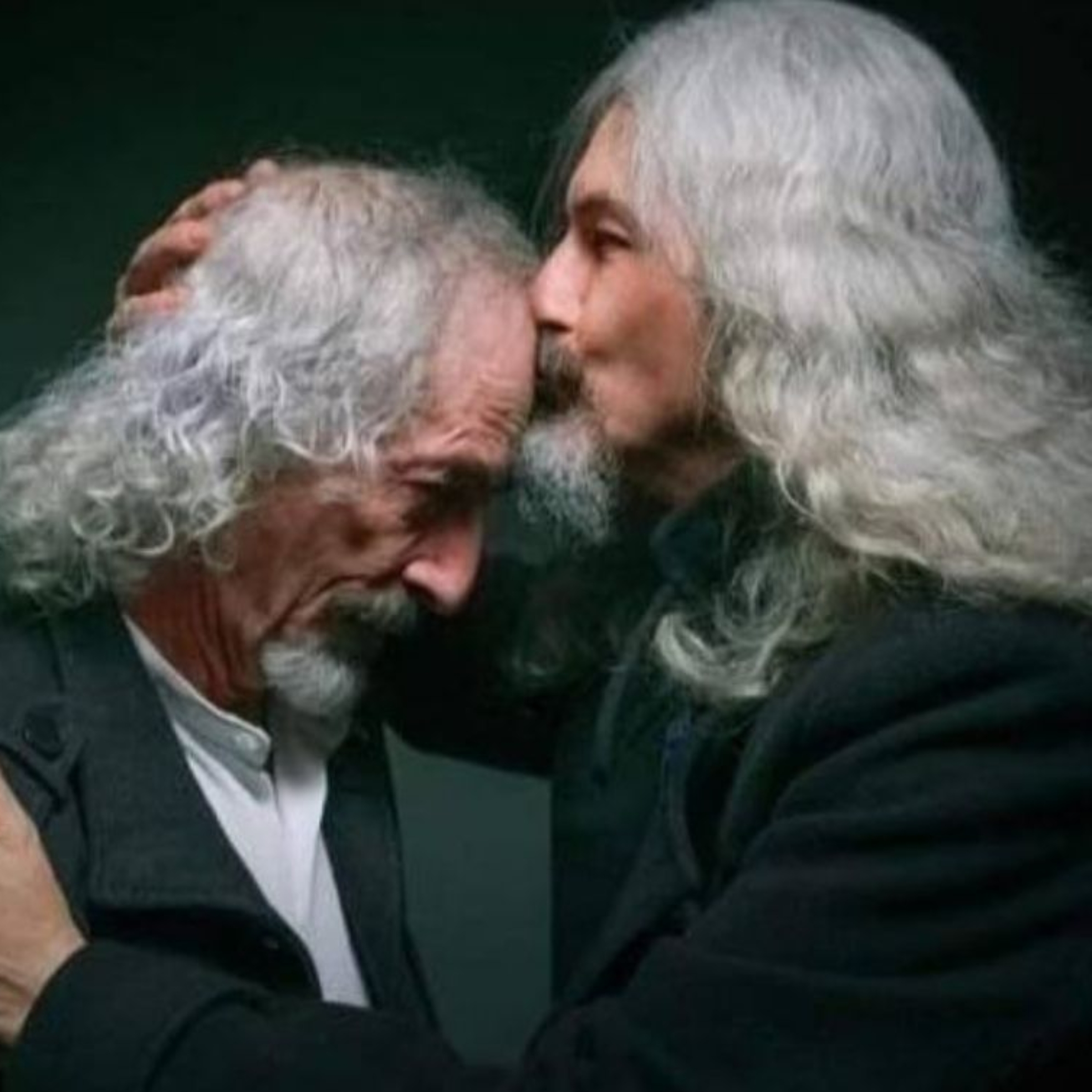 la-libelula-dorada (8)