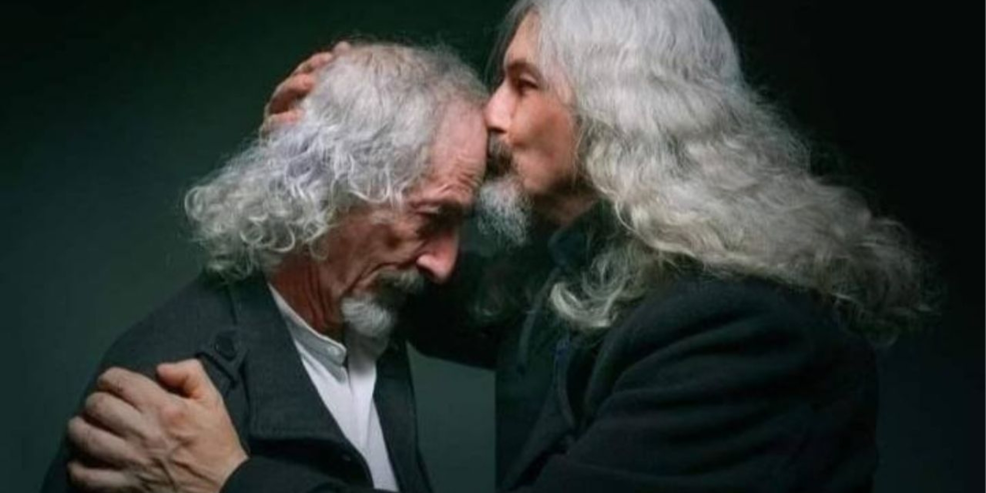 la-libelula-dorada (8)