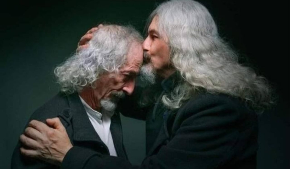 la-libelula-dorada (8)