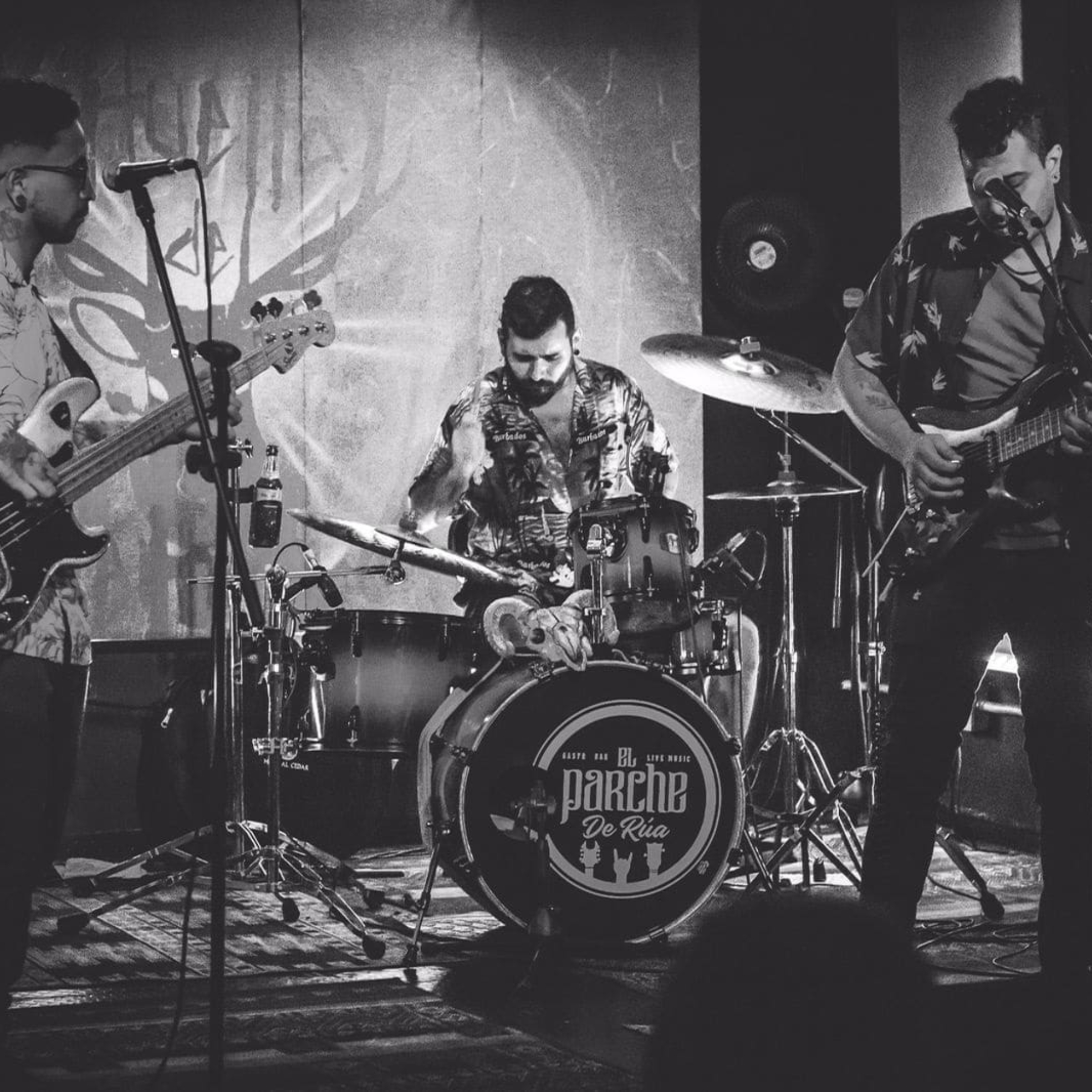 Huella de Venado - Estuario 11