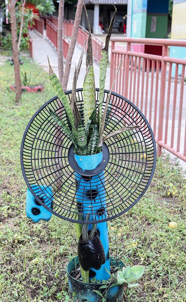 poetica-en-movimiento-polo-nuevo (2)