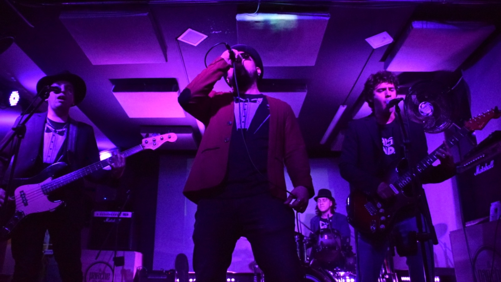 Los Falsos Dandys - Stupid Vision Pro 9