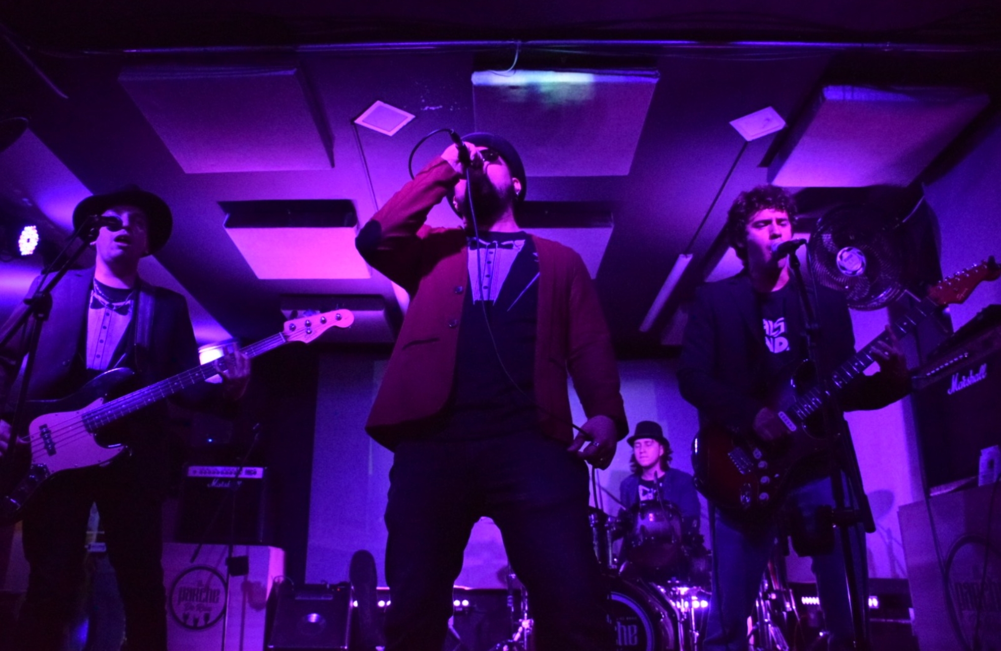 Los Falsos Dandys - Stupid Vision Pro 9