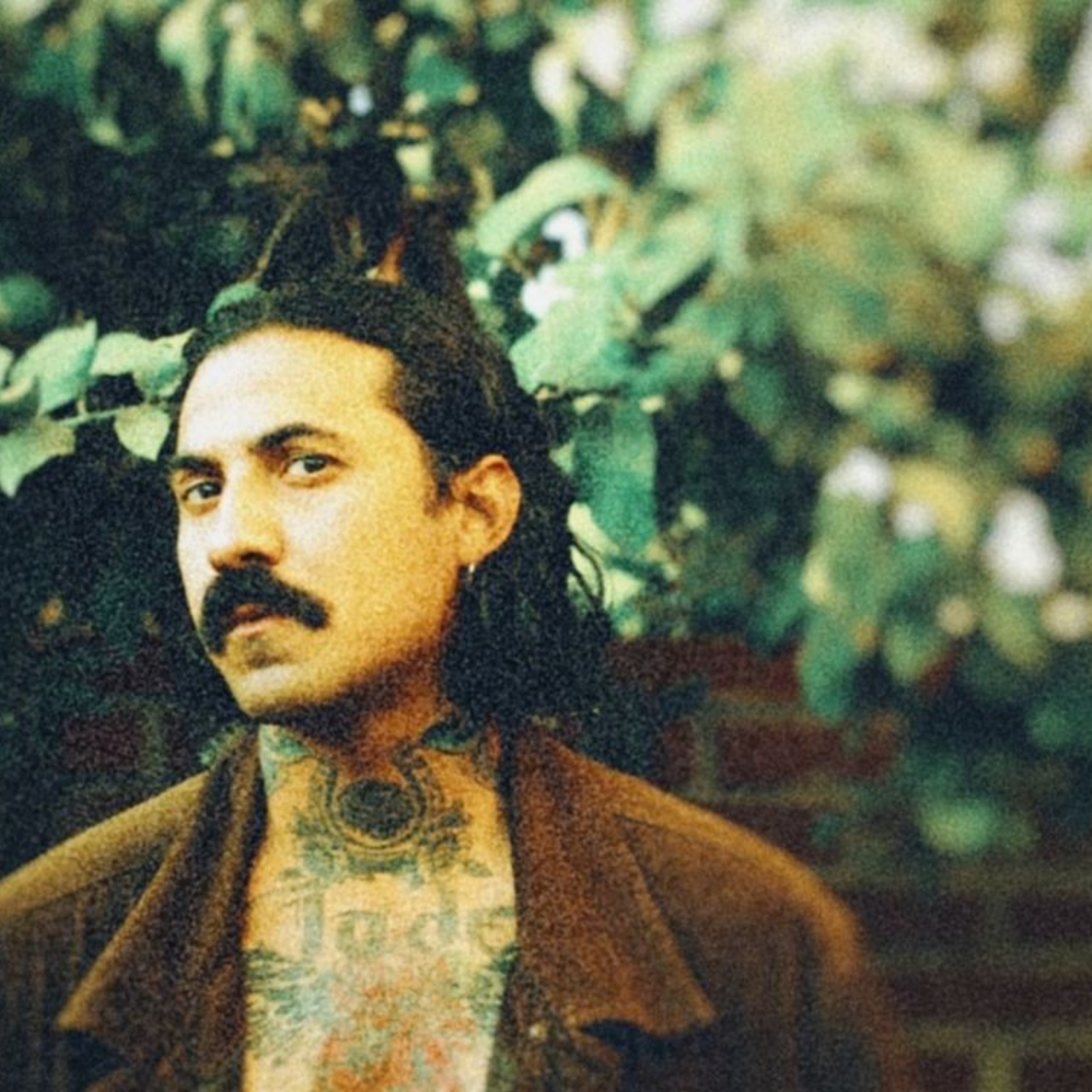 En la Tempestad Piel