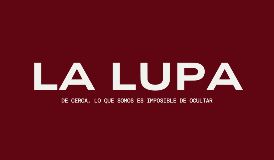 laura-anzola-la-lupa