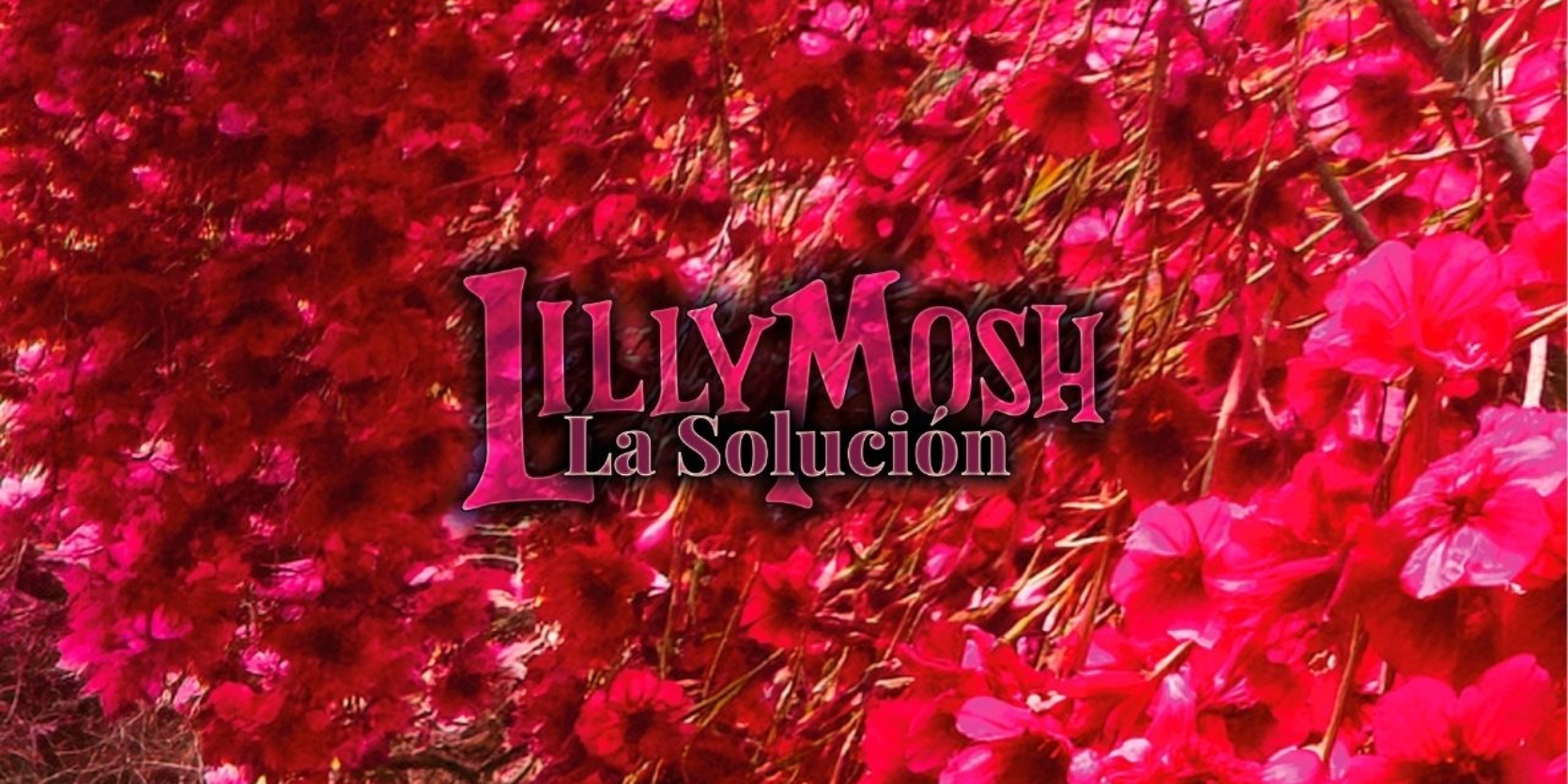 Lilly Mosh y 'La Solución'