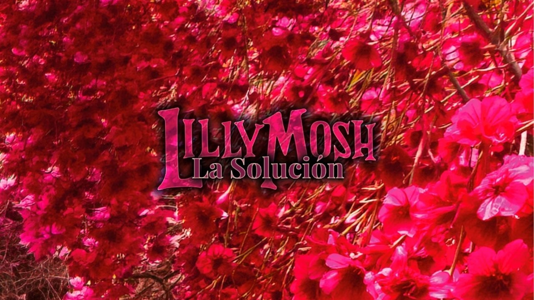 Lilly Mosh y 'La Solución'
