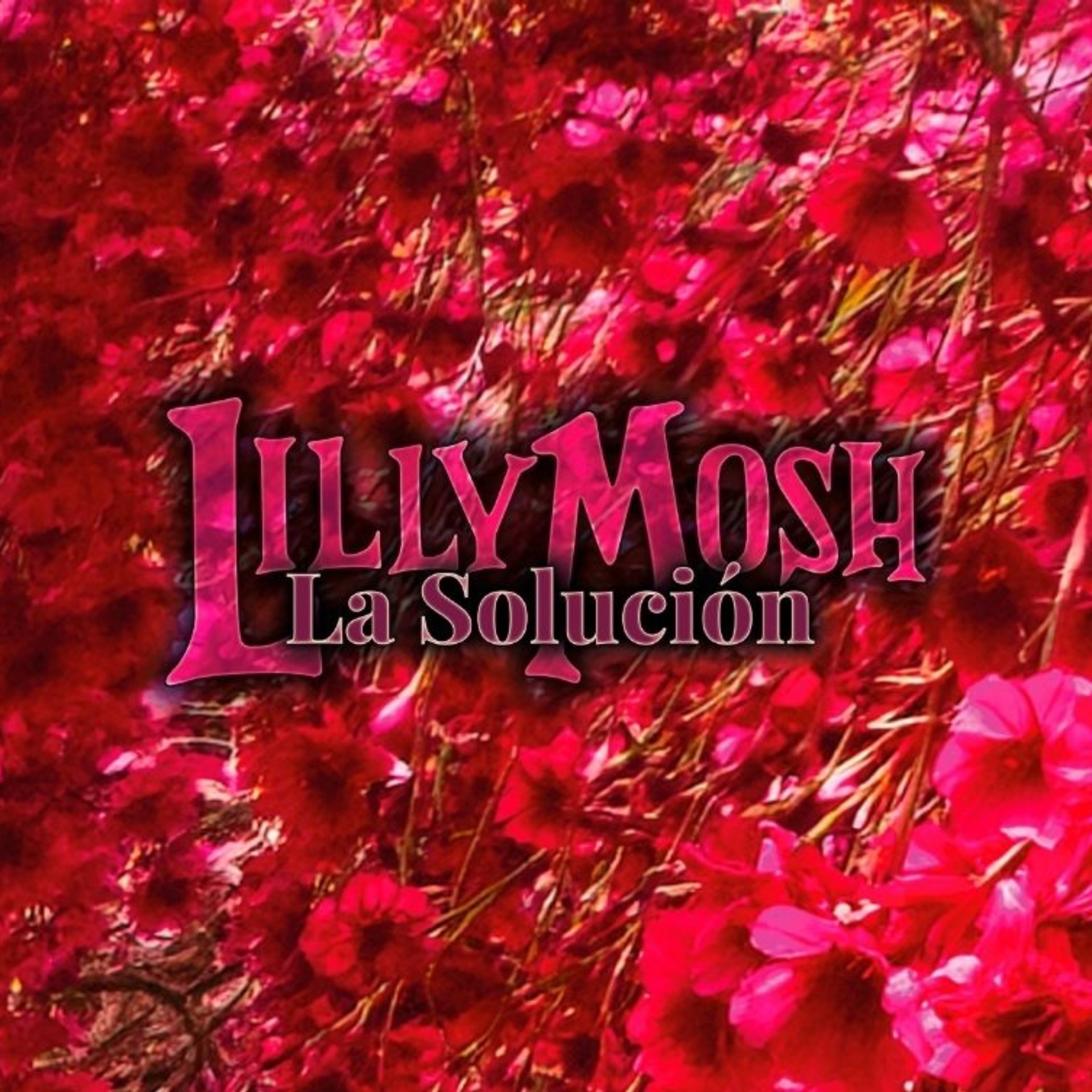 Lilly Mosh y 'La Solución'