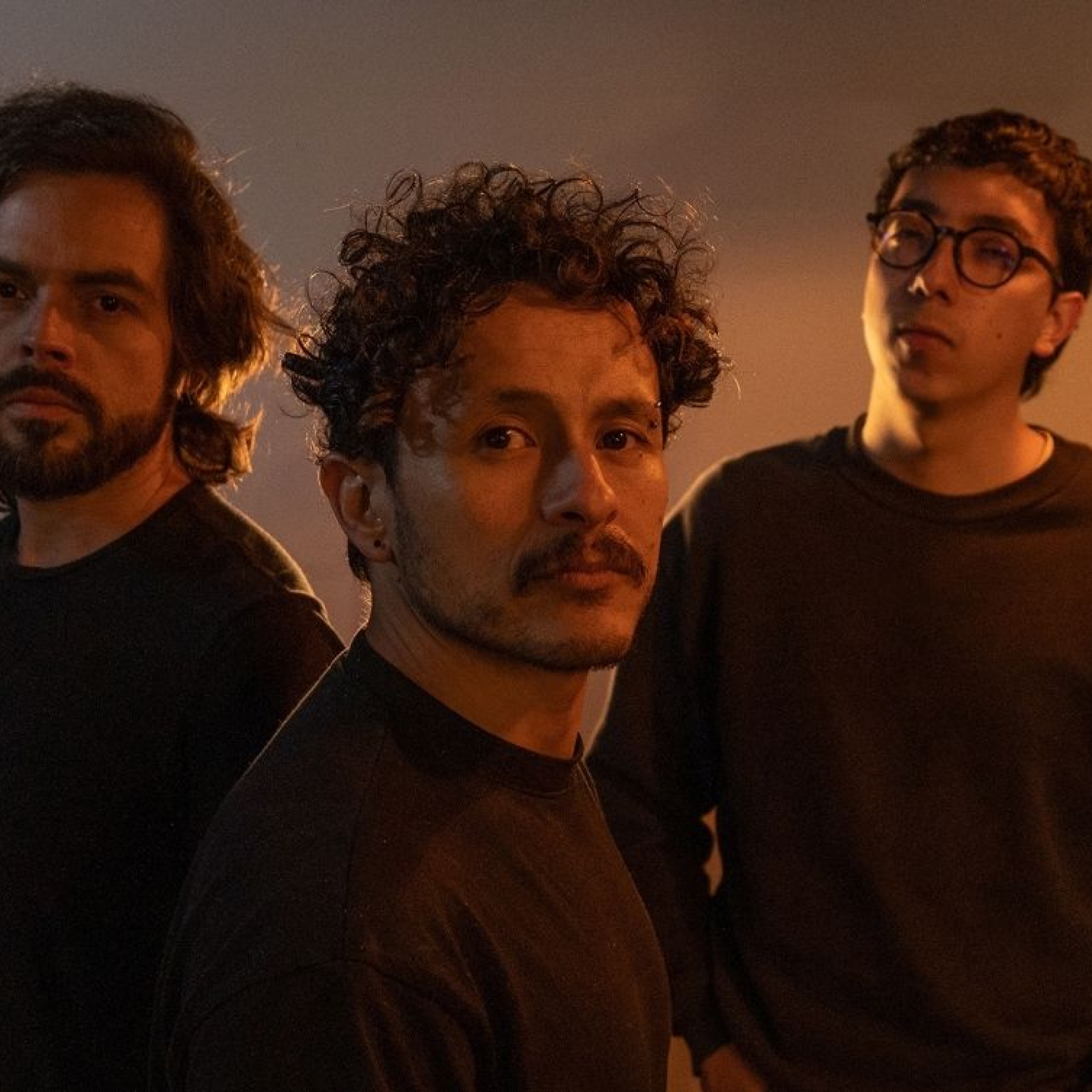 Pez Errante – Animal