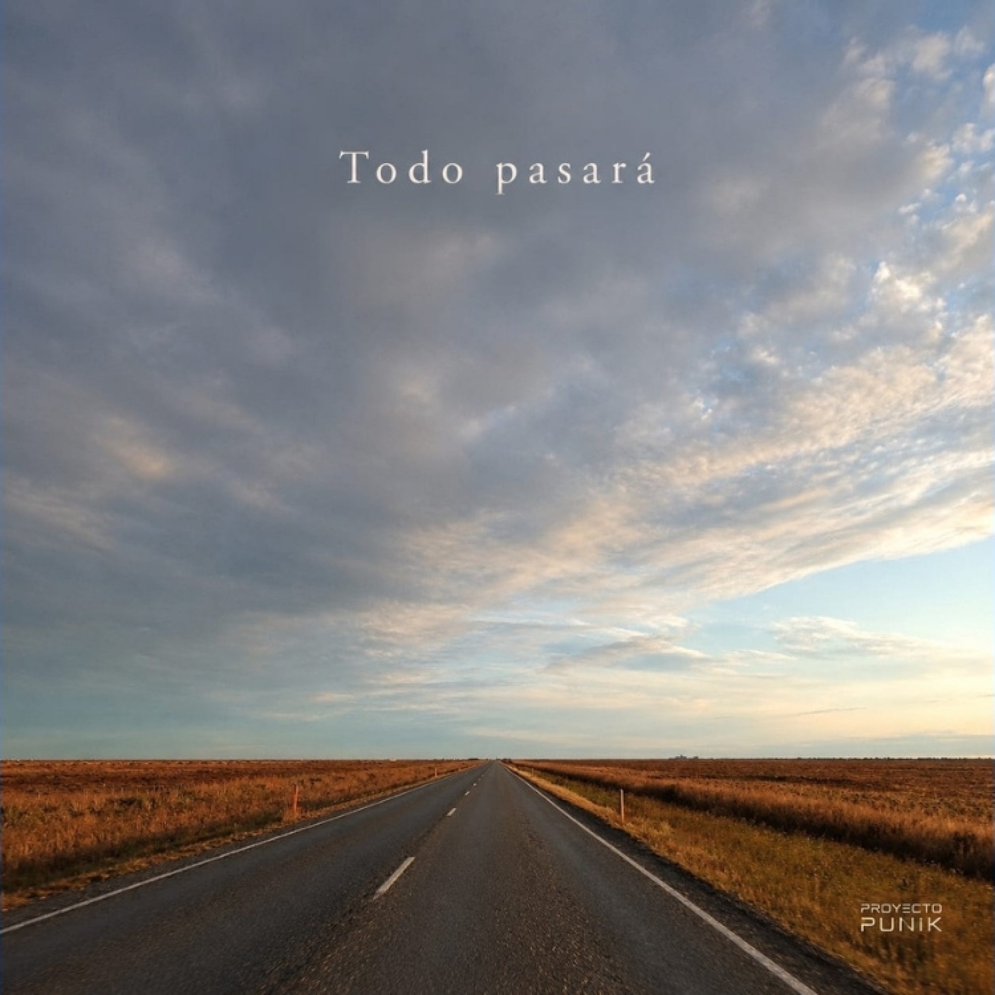 proyecto-punik-todo-pasara-sencillo