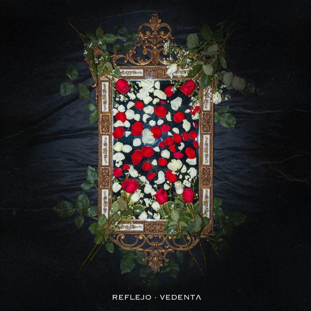 vedenta-reflejo-vanidad-autopercepcion-iii